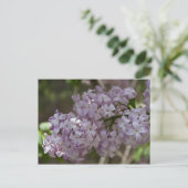 Lila Briefkaart (Staand voorkant)