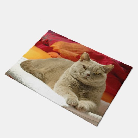 Lila Britse kustkat Deurmat (Schuin)