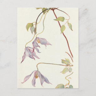 Lila Clematis door Margaret Armstrong Briefkaart