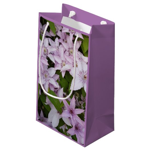 lila, clematis, mooi, bloem, lila bloem, klein cadeauzakje (Achterkant Gekanteld)