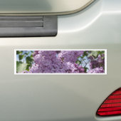 Lila cluster bumpersticker (Op auto)