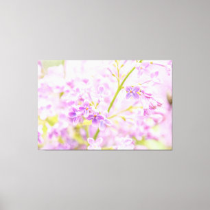 Lila drijvers canvas afdruk