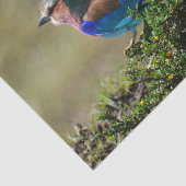 Lila gebrande rolvogel tissuepapier (Detail)