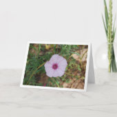 Lila-morinegaltje, Mallow Bindweed Wilde Kaart (Voorkant)