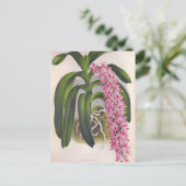 Lila orchidee Aerides Fieldingi Lindenia Briefkaart (Staand voorkant)