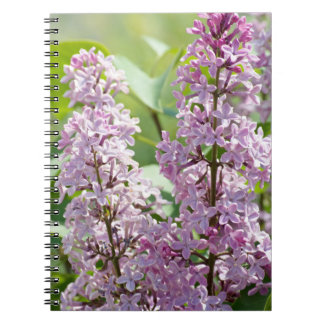 Lila P5390-Notitieboek Notitieboek