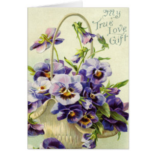 lila paarse pansieën bloemen typografie