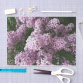 Lila papier voor vetweefsel (Craft)