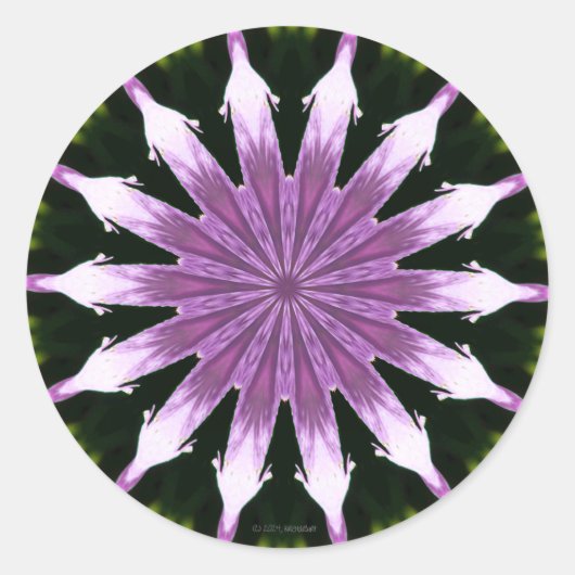 Lila Petunia Kaleidoscope Classic ronde Stickers (Voorkant)