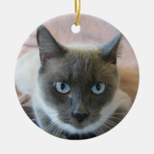 Lila punt Siamese Keramisch Ornament