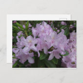 Lila Rhododendron Flowers DIY Briefkaart (Voorkant / Achterkant)