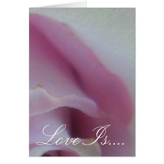 Lila Roos (Voorkant)