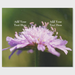 Lila Scabious (Knautia arvensis) Bloem Custom Cadeaupapier