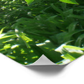 Lila schoonheid poster (Hoek)