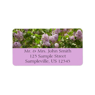 Lila Struik Beauful Paarse Spring Flowers Etiket