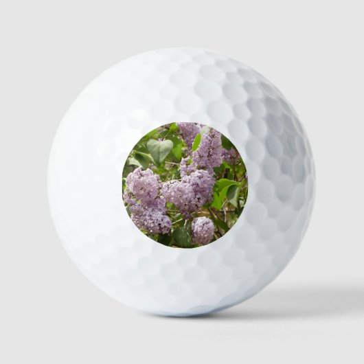 Lila Struik Beauful Paarse Spring Flowers Golfballen (Voorkant)