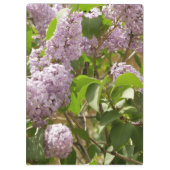 Lila Struik Beauful Paarse Spring Flowers Klembord (Achterkant)