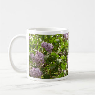 Lila Struik Beauful Paarse Spring Flowers Koffiemok