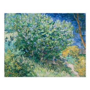 Lila Struik (Lilacs) van Vincent Van Gogh Foto Afdruk