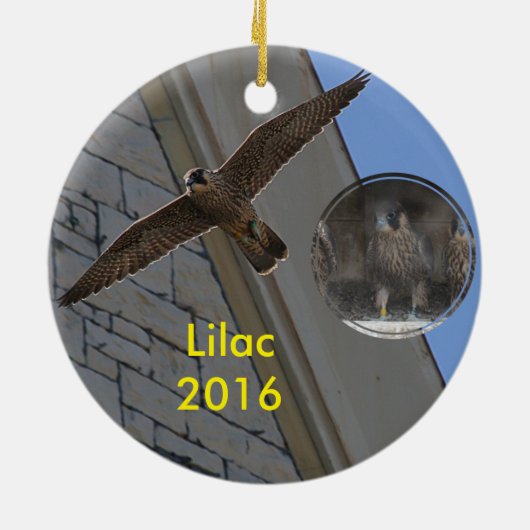 lila versiering 2016 keramisch ornament (Achterkant)