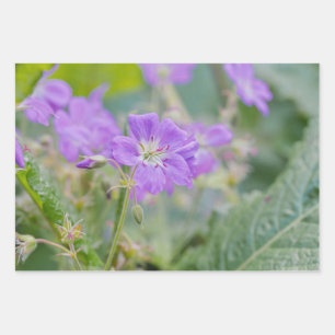 Lila Wildflower Foto Geranium Botanische Bloem Inpakpapier Vel