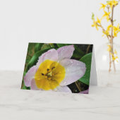 Lila Wonder Tulip, kaart (Gele Bloem)