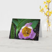 Lila Wonder Tulip, kaart (Gele Bloem)