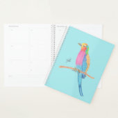 LILAC-BREASTED ROLLER (Devant avec enveloppe)