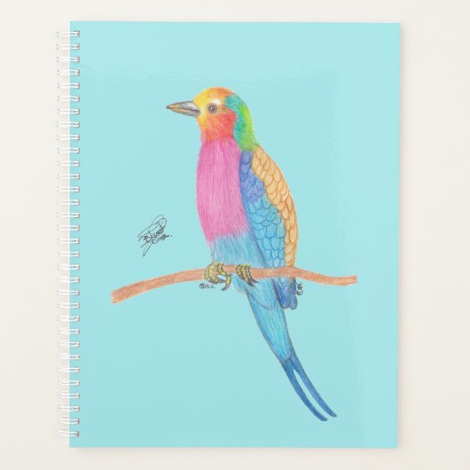 LILAC-BREASTED ROLLER (Devant)