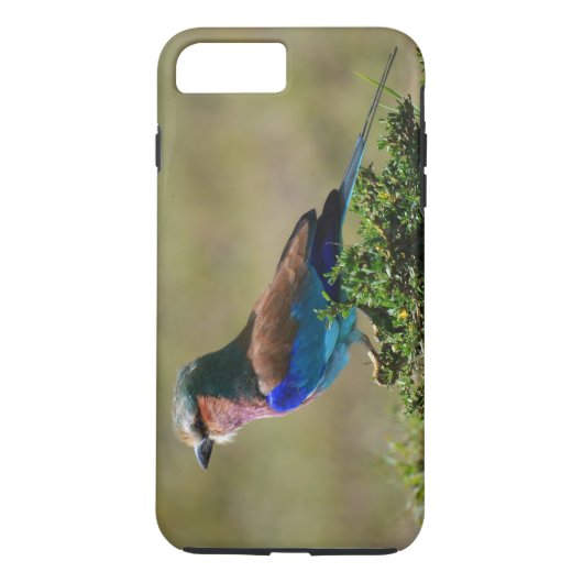 Lilac Breasted Roller Bird iPhone 7 Coque (Dos)