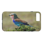 Lilac Breasted Roller Bird iPhone 7 Coque (Dos (Horizontal))