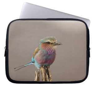 Lilac-breasted Roller, Coracias caudata, Samburu Laptop Sleeve
