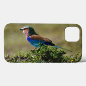 Lilac Breasted Roller iPad Mini coque (Verso (horizontal))