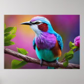 Lilac-Breasted Roller Poster (Voorkant)