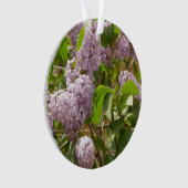 Lilac Bush Belles fleurs de printemps violettes (devant)