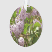 Lilac Bush Belles fleurs de printemps violettes (devant)