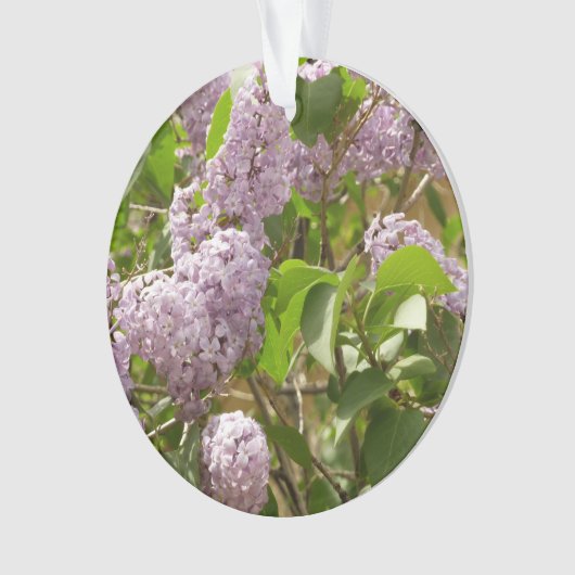 Lilac Bush Belles fleurs de printemps violettes (devant)