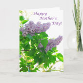 Lilac Cluster Carte de Fête des Mères (Devant)