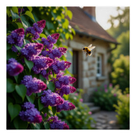 Lilac Flower Perfect Poster