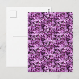 Lilac Foto Getegeld Halve Drop Briefkaart