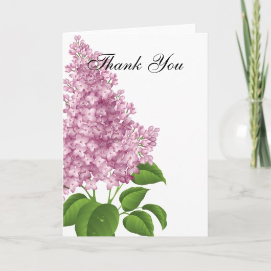 Lilac Merci (Devant)