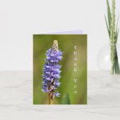 Lilac Purple Pickerelweed Fleur Botanique Florale (Devant)