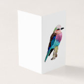 Lilac Roller Breast Bird (Outside)