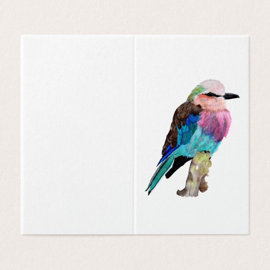 Lilac Roller Breast Bird (Outside Unfolded)