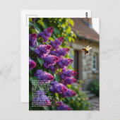 Lilac Symbolism Briefkaart (Voorkant / Achterkant)