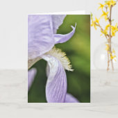 Lilac Toned Iris Carte de note artistique (Fleur jaune)