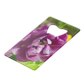 Lilac tulipes sur une journée ensoleillée (Dos Angle)