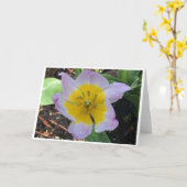 Lilac Wonder Tulip, carte (Fleur jaune)