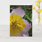 Lilac Wonder Tulip, carte (Fleur jaune)