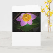 Lilac Wonder Tulip, carte (Fleur jaune)